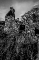 Day 8 - Ruined House behind our Rental