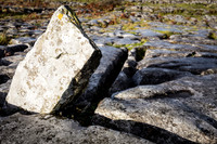Day 7 - The Burren