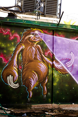 661 Central Ave (Sloth)