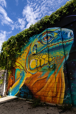 645 Central Ave (Lizard King)