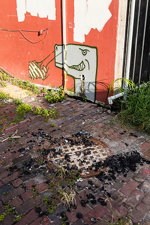 561 Central Ave (Dinosaur Dome)