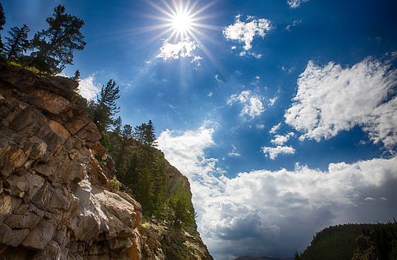 Sunburst