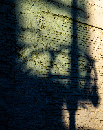 Shadowy Wall