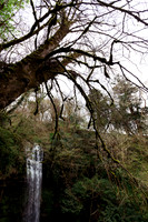 Glencar Waterfall