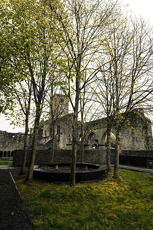 Sligo Abbey