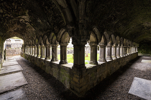 Sligo Abbey