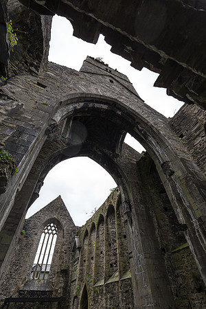 Sligo Abbey