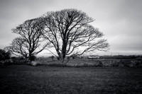 Carrowmore Megalithic Cemetery