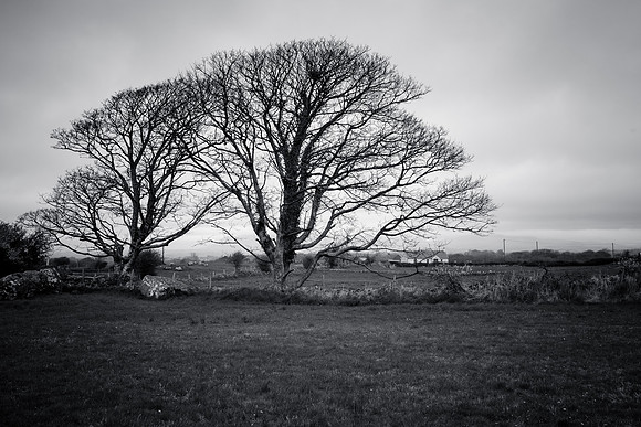 Carrowmore Megalithic Cemetery