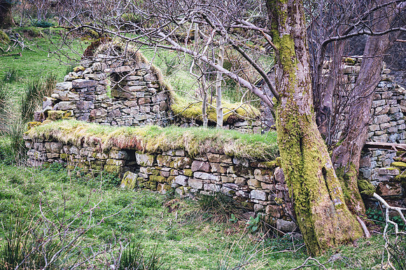 Derelict House