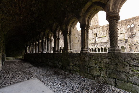 Sligo Abbey