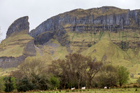 Eagles Rock