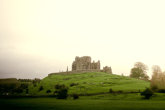 Rock Of Cashel from Hore Abbey