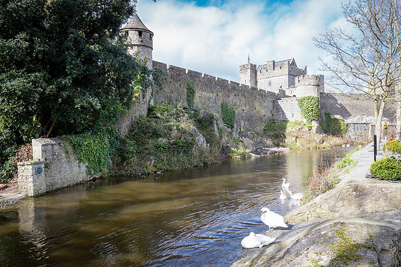 Cahir Castle