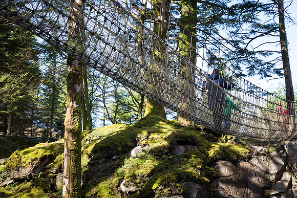 Skywalk Rope Bridge