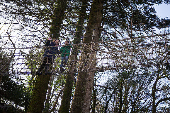 Skywalk Rope Bridge