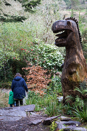 The Primeval Forest at Kell's Bay