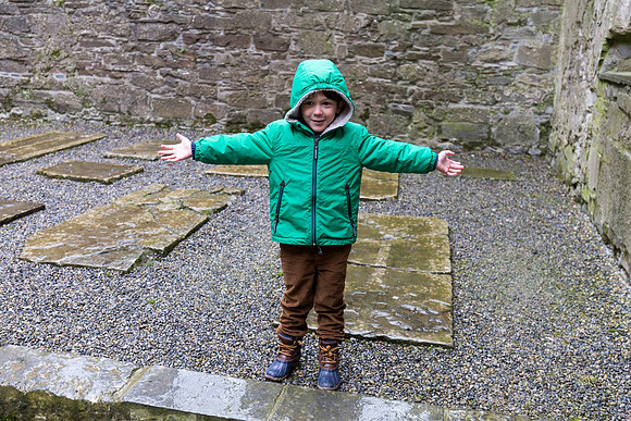 Rock of Cashel