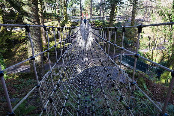 Skywalk Rope Bridge