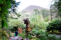 The Primeval Forest at Kell's Bay