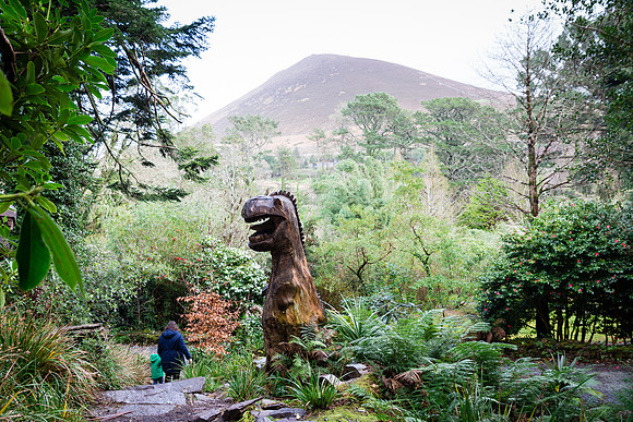 The Primeval Forest at Kell's Bay