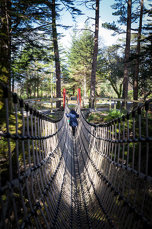Skywalk Rope Bridge