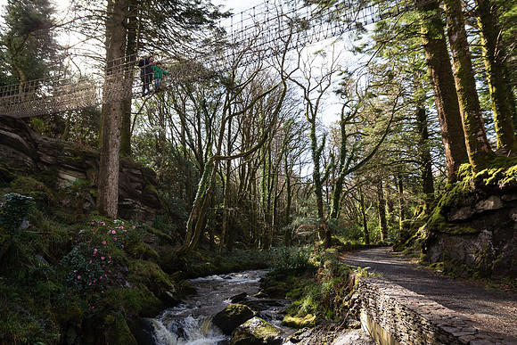 Skywalk Rope Bridge