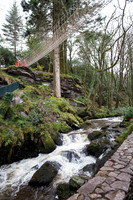 Skywalk Rope Bridge at Kell's Bay - 112 Feet Long