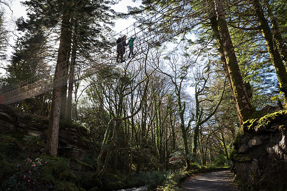 Skywalk Rope Bridge