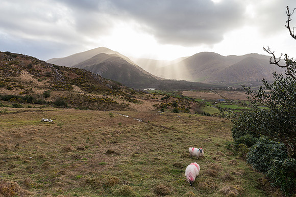 Healy Pass, Beara