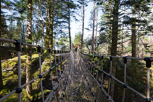 Skywalk Rope Bridge