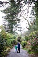 The Primeval Forest at Kell's Bay