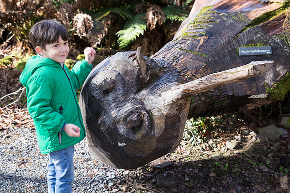 The Primeval Forest at Kell's Bay