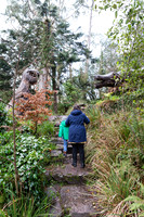 The Primeval Forest at Kell's Bay