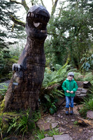 The Primeval Forest at Kell's Bay
