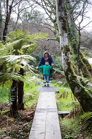 Kell's Bay Garden