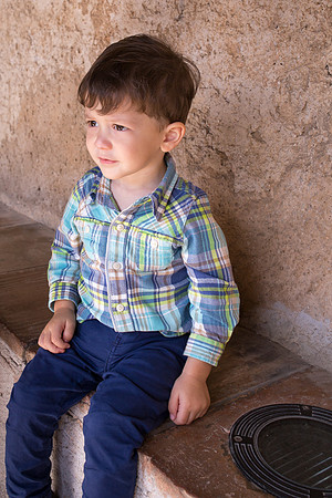 Day 7 - Sebby at the Cloisters