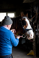 Gap of Dunloe Horse Carriage