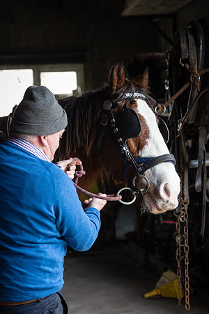 Gap of Dunloe Horse Carriage