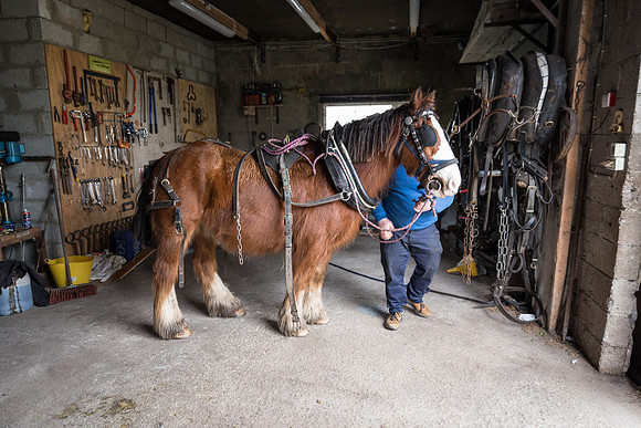 Gap of Dunloe Horse Carriage