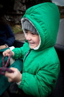 Gap of Dunloe Horse Carriage
