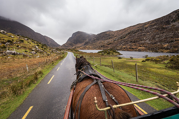 Gap of Dunloe Horse Carriage