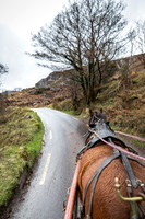Gap of Dunloe Horse Carriage
