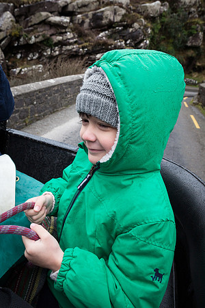 Gap of Dunloe Horse Carriage