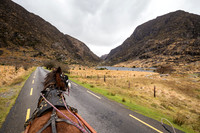 Gap of Dunloe Horse Carriage