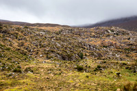 Gap of Dunloe Horse Carriage