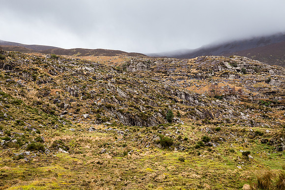 Gap of Dunloe Horse Carriage