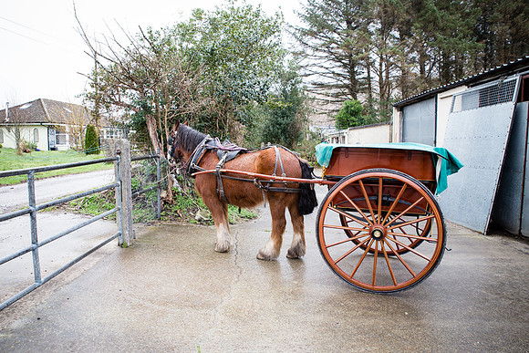Gap of Dunloe Horse Carriage