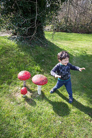 Mario's Magic Mushrooms
