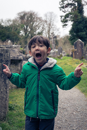 Muckross Abbey